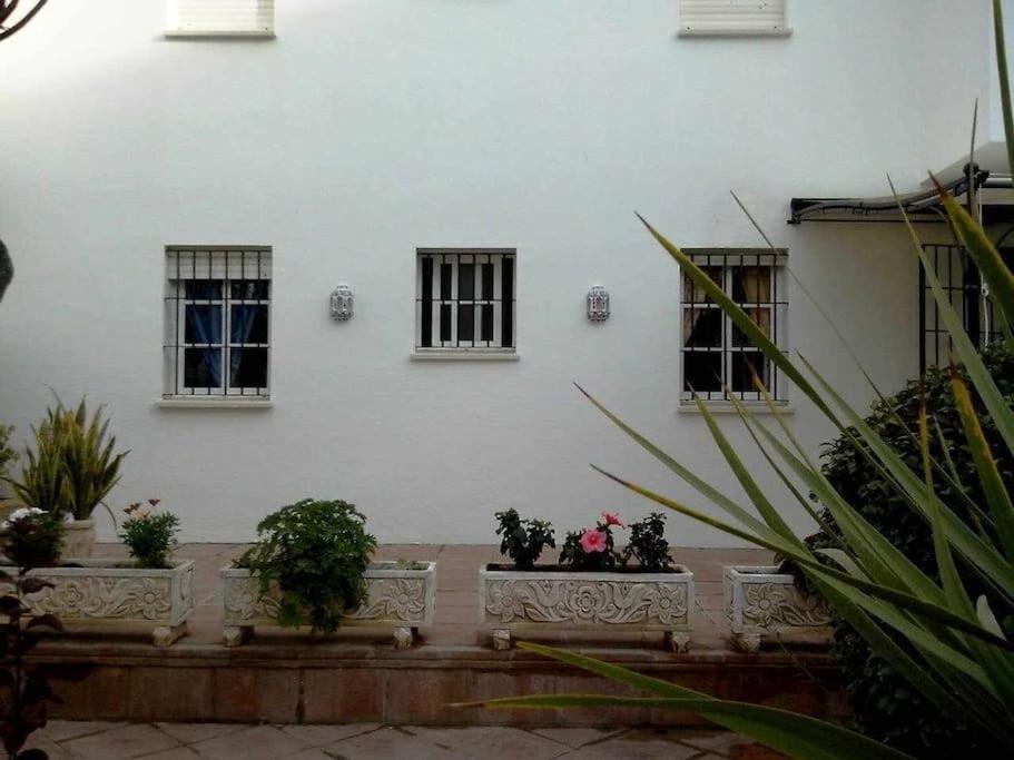 Apartamento Echando Anclas 巴尔巴特 外观 照片